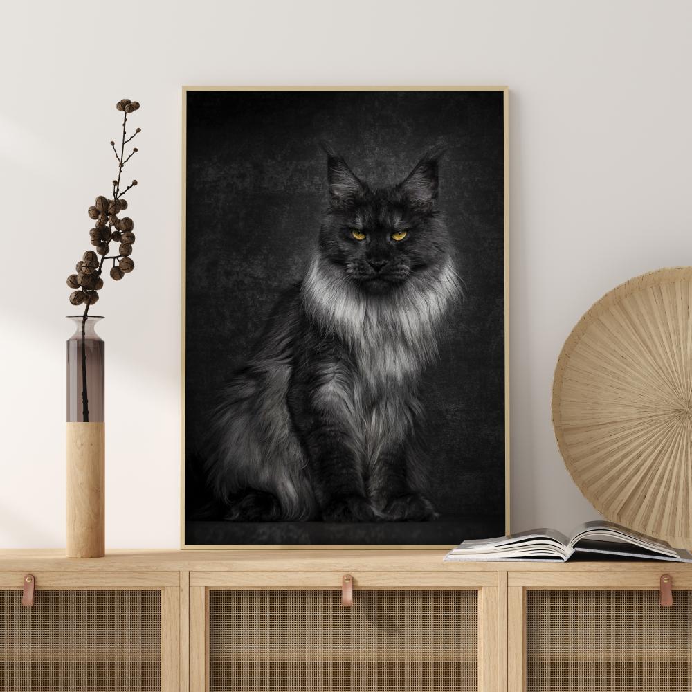 Maincoon reklaamplakat