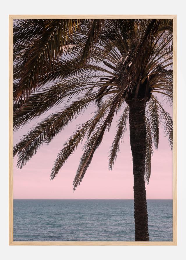 Palm Beach I reklaamplakat