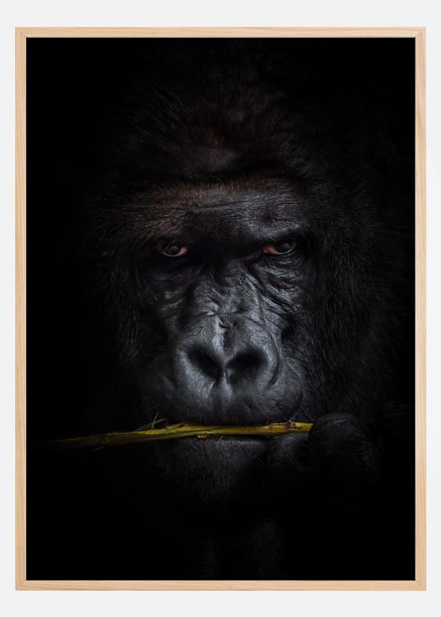 Mysterious gorilla reklaamplakat