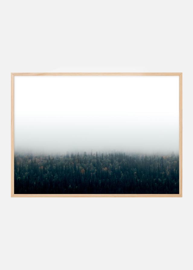 Forests in fog reklaamplakat