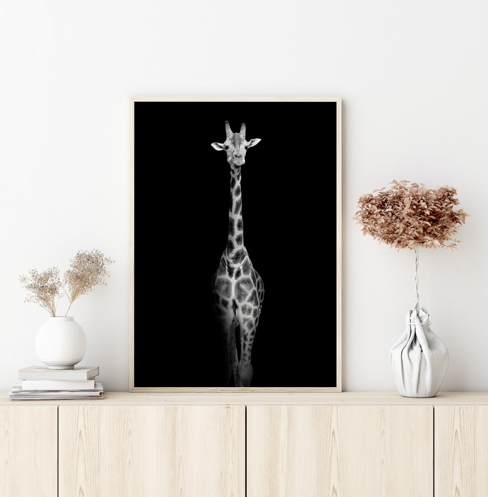 Stunning giraffe Plakat