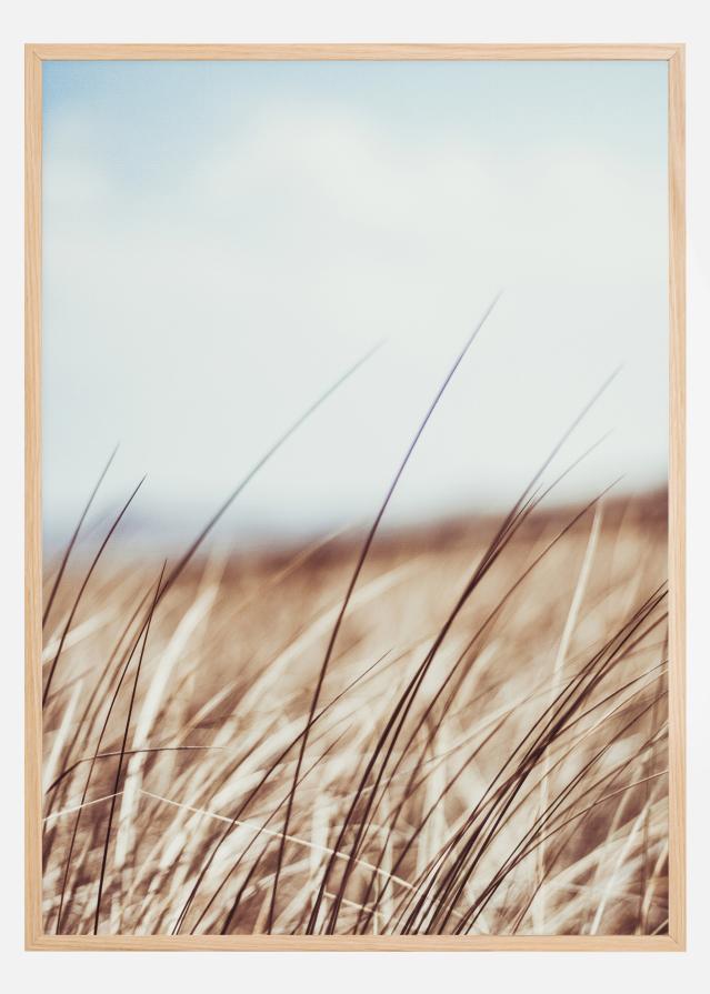 Dreamy Grass Plakat