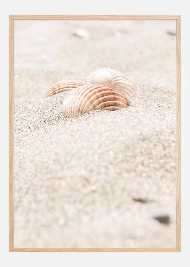 Seashell beach reklaamplakat