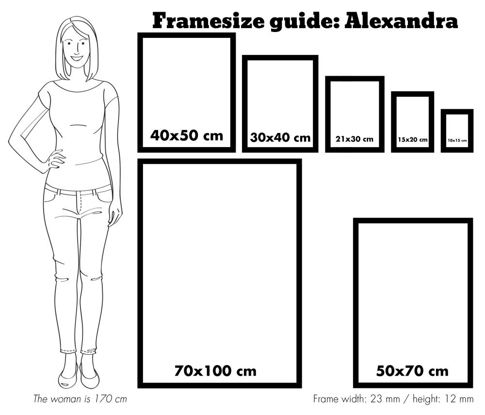 Raam Alexandra Akruulklaas valge 70x100 cm