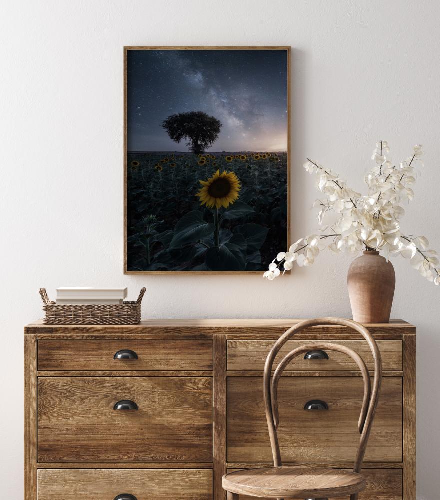 Starsflowers Plakat