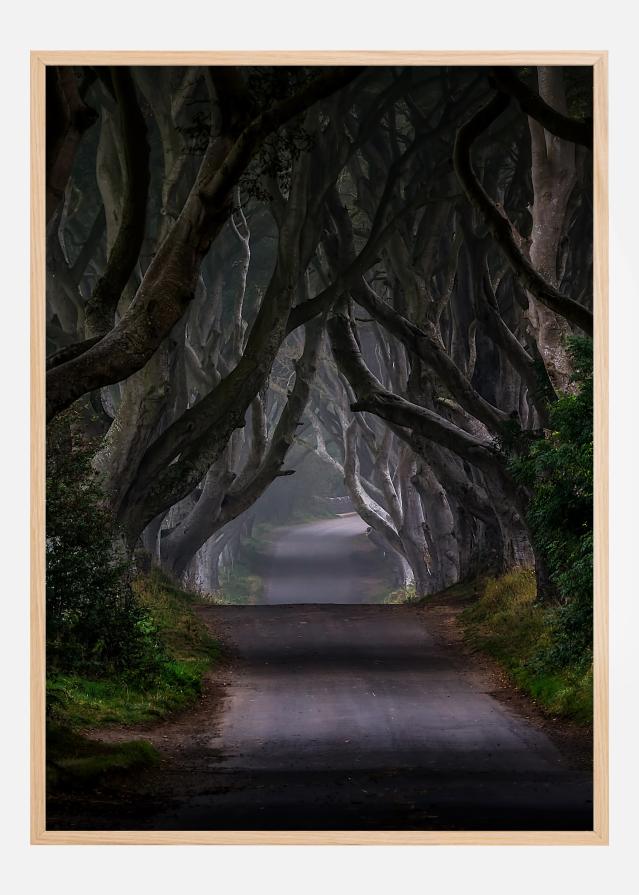 The Dark Hedges Magic road Plakat