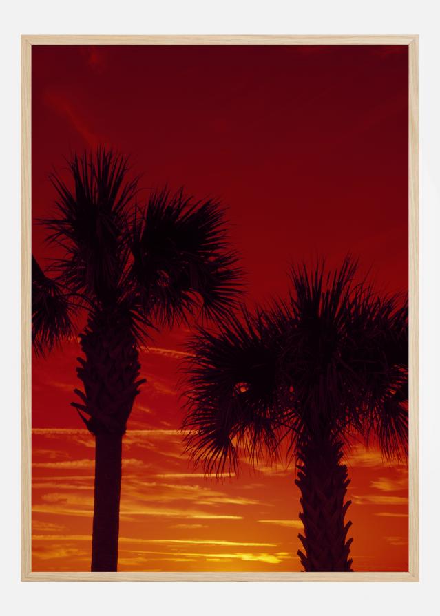 Red Palms Plakat