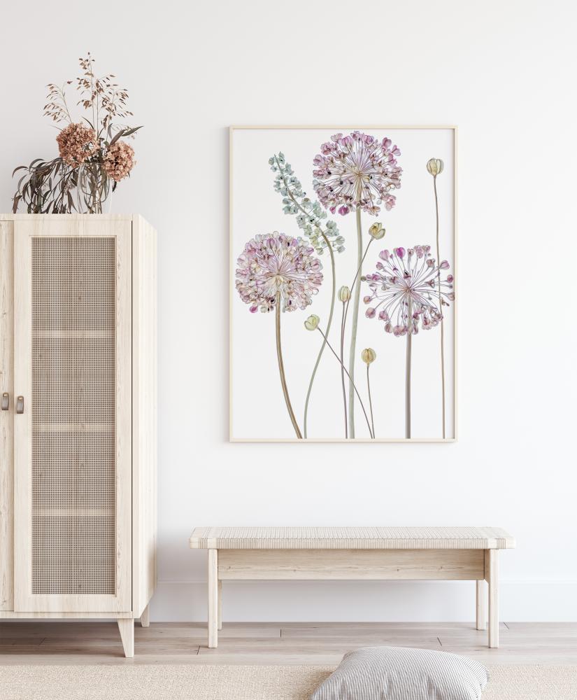 Allium reklaamplakat