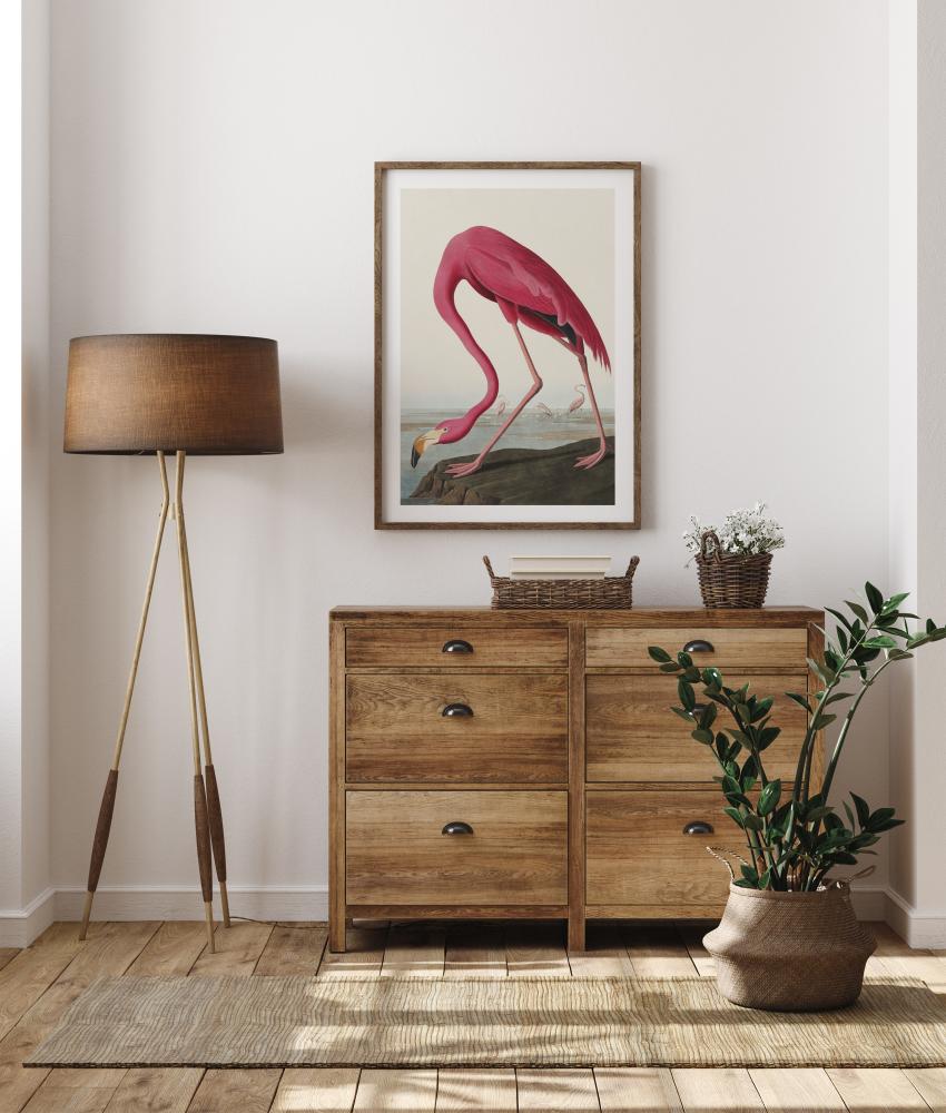 American Flamingo reklaamplakat