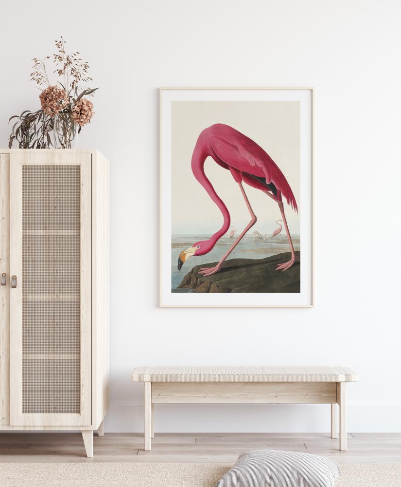 American Flamingo reklaamplakat