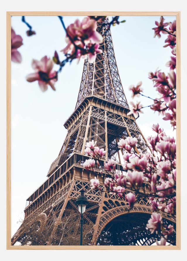 Eiffel Tower Blossoms reklaamplakat