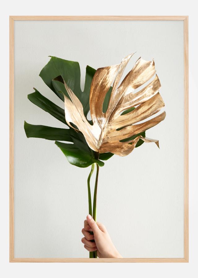 Golden monstera reklaamplakat