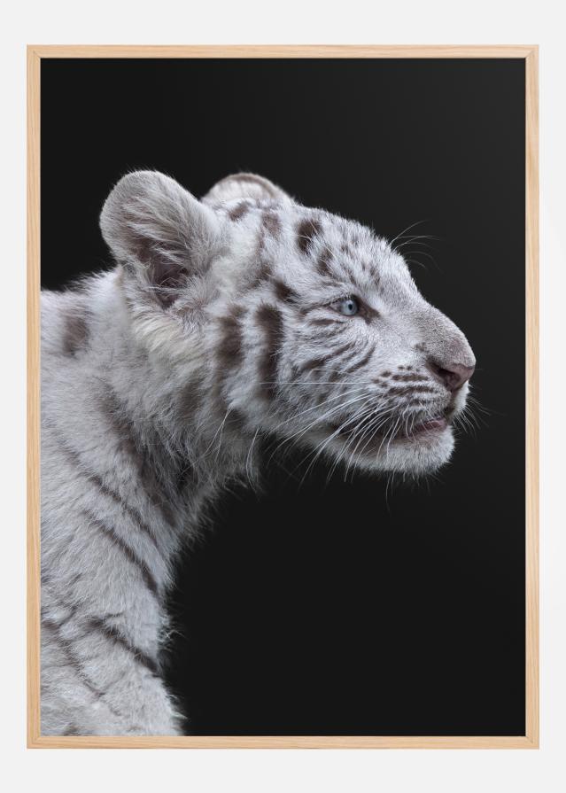 White tiger reklaamplakat