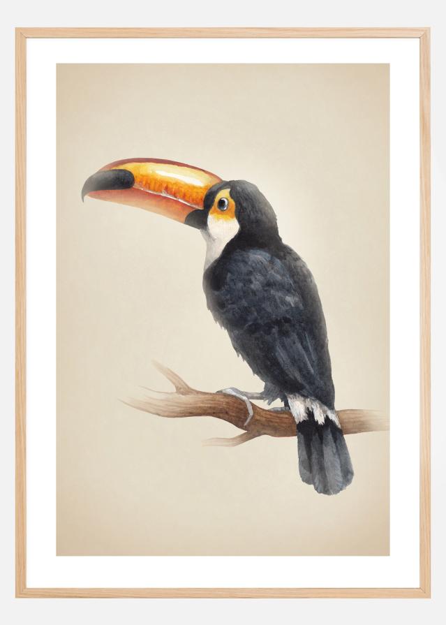 Tropical Toucan reklaamplakat