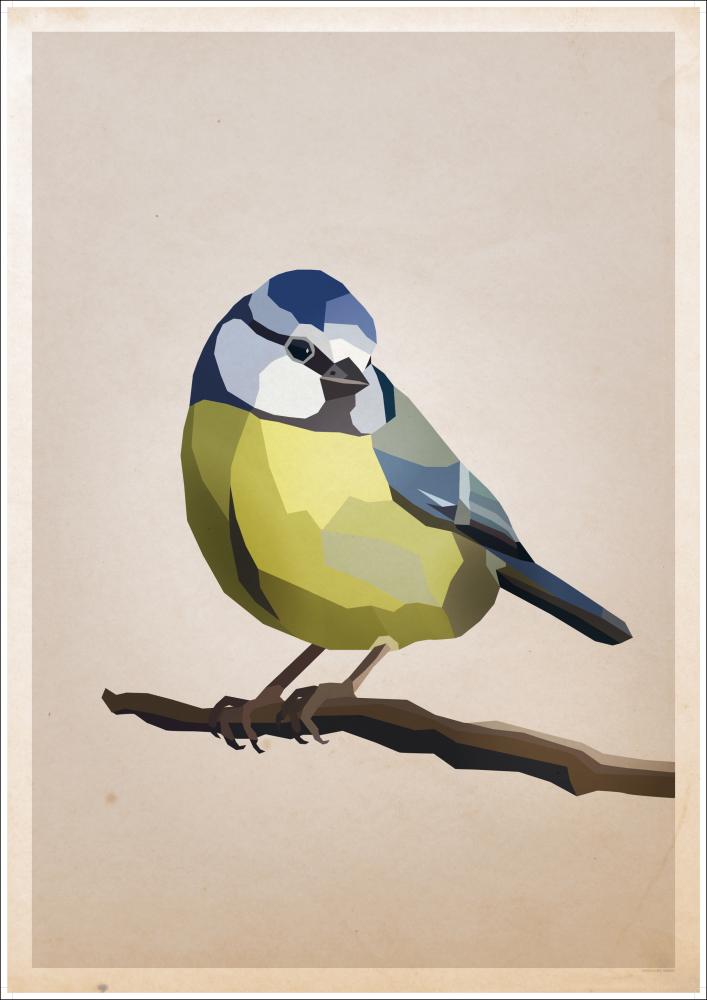 Blue tit reklaamplakat