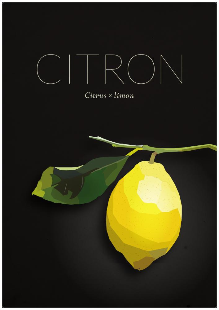 Citron reklaamplakat