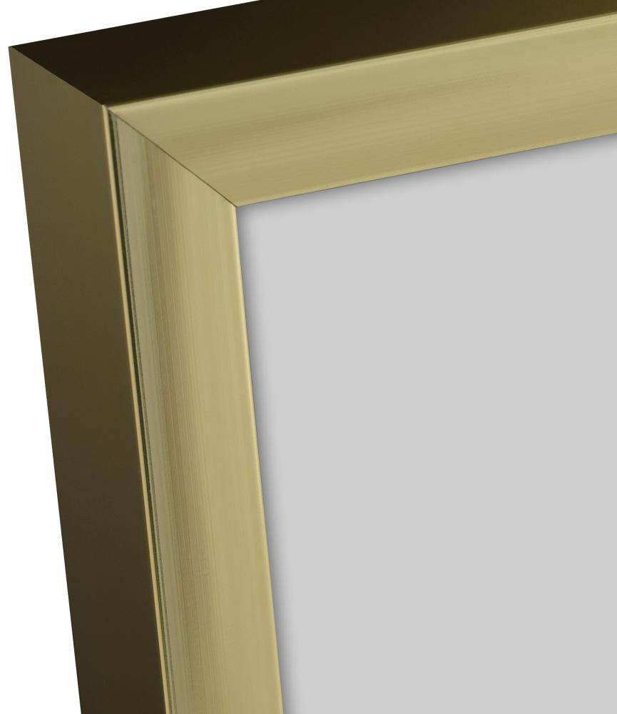 Raam Frame Aluminum Gold 70x100 cm - paspartuu muster24x36 inches