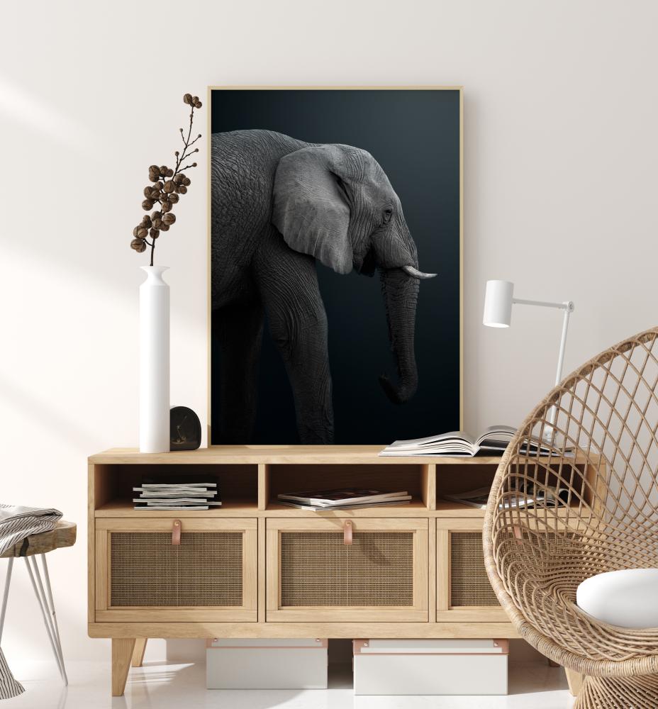 Namibian Elephant reklaamplakat