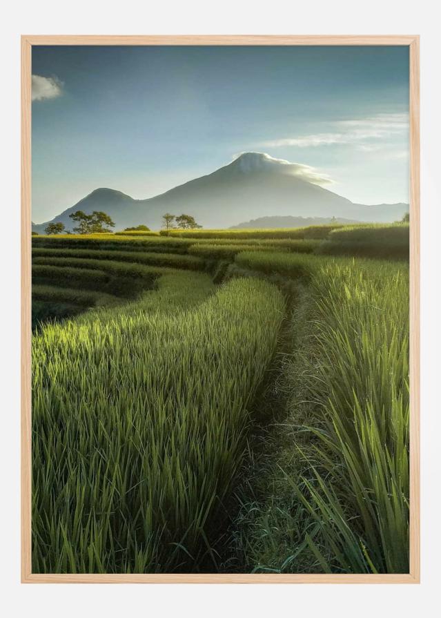 Beautiful Landscape reklaamplakat