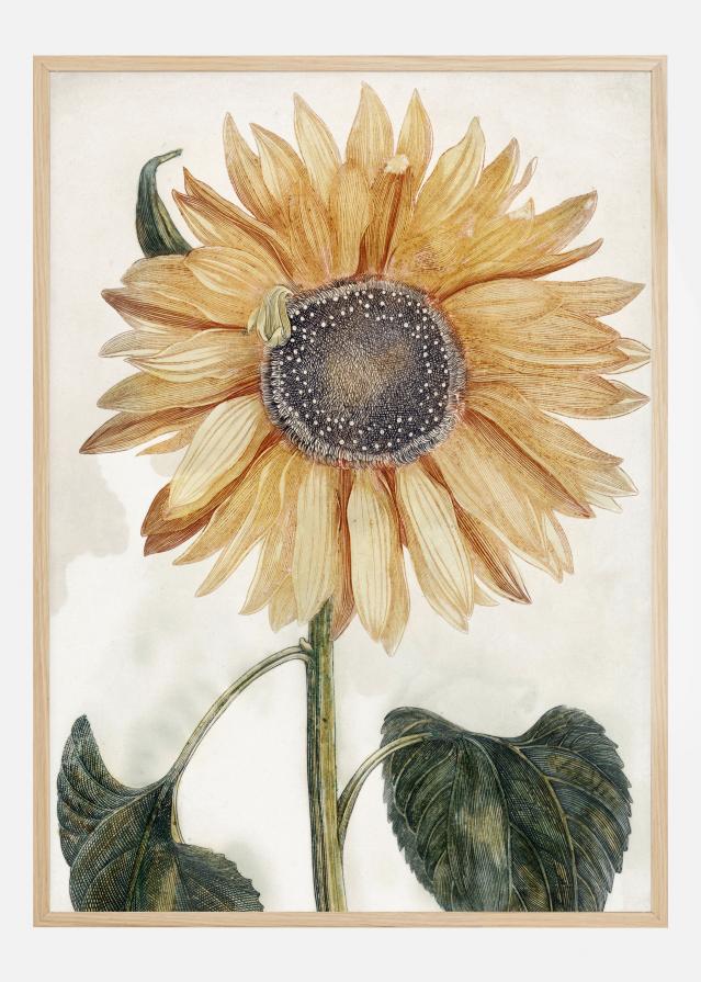 Sunflower Art reklaamplakat