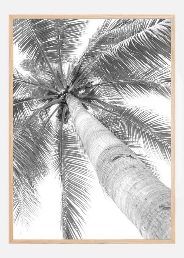 Black and white palmtree reklaamplakat