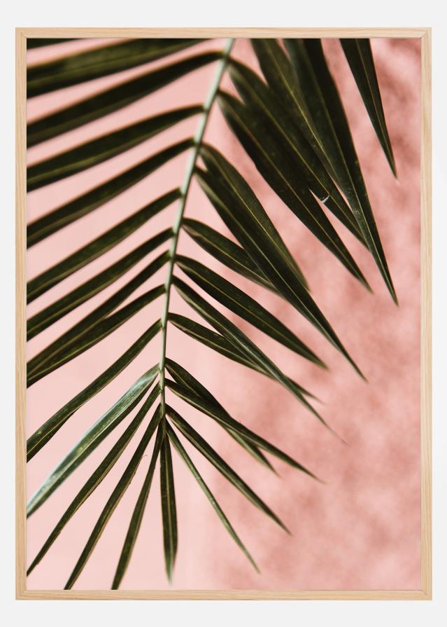 Pink pastell palm reklaamplakat