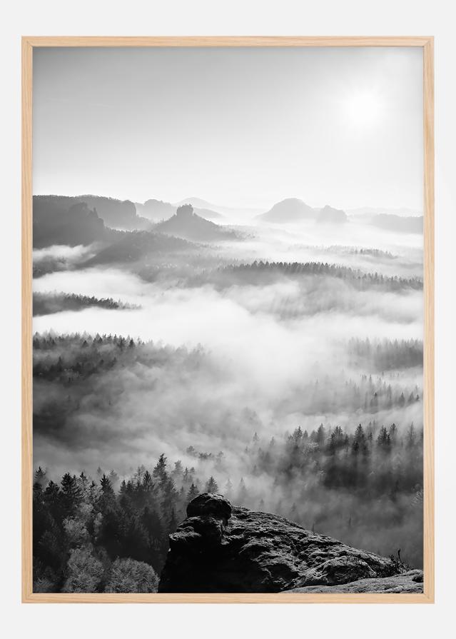 Foggy Forest Black & White I - 50x70 cm reklaamplakat