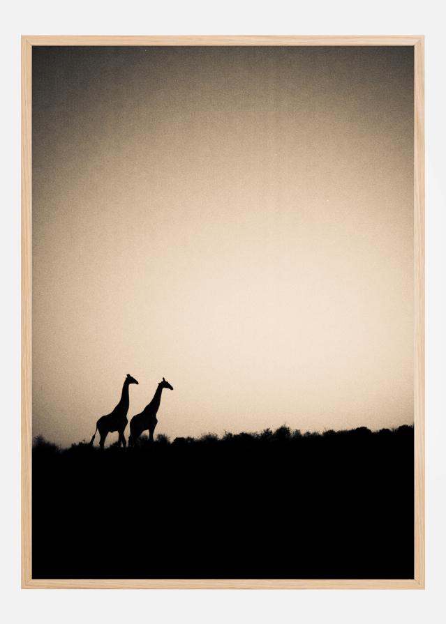 Giraffes reklaamplakat