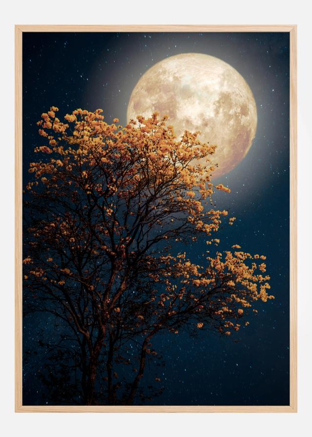 Tree in moonlight reklaamplakat