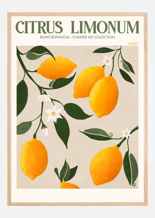 Boho Citrus Limonum reklaamplakat