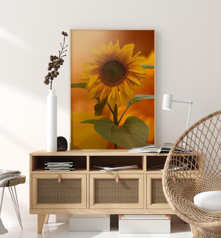 Sunflower Plakat