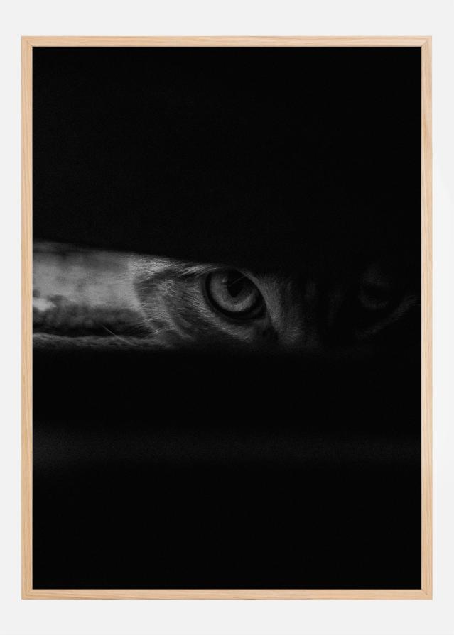 Peeking cat reklaamplakat