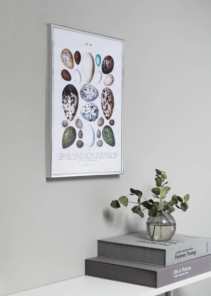 Raam Poster Frame Aluminum hobedane 70x100 cm - paspartuu muster