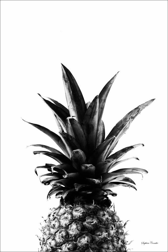 Pineapple B&W reklaamplakat