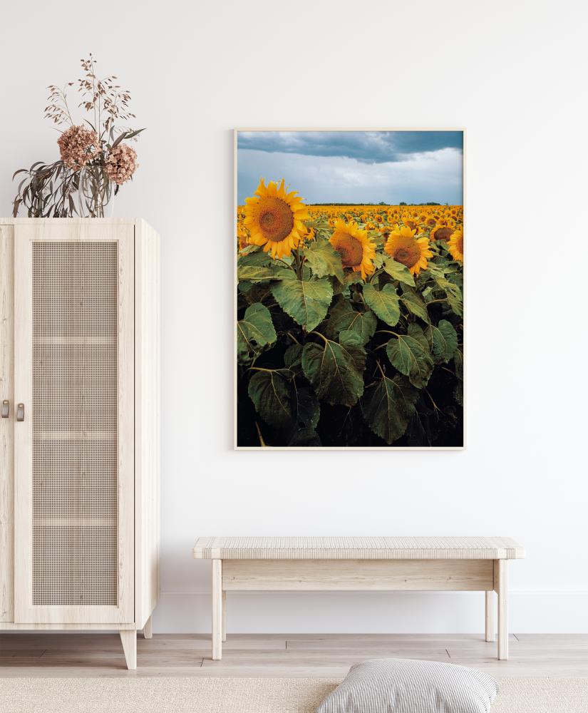 Sunflowers reklaamplakat