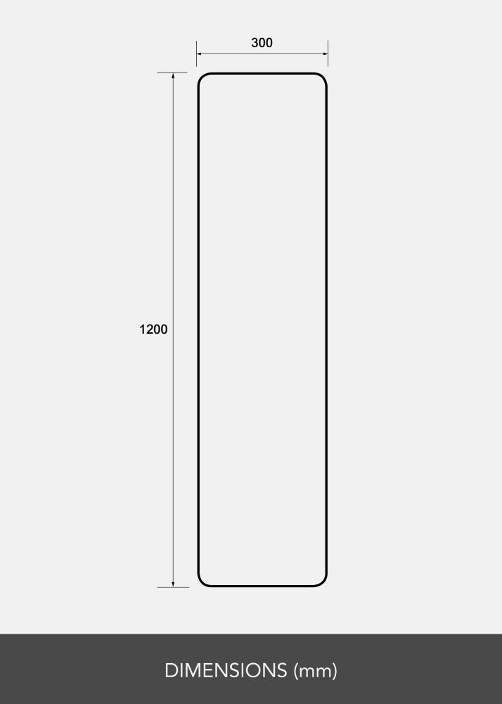 Peegel Rectangle L 30x120 cm