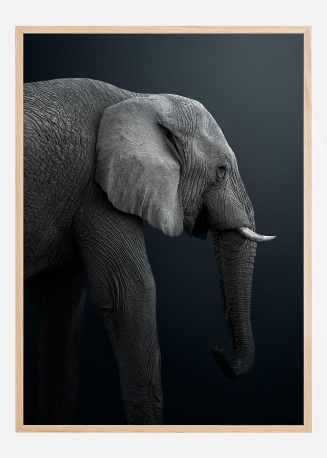 Namibian Elephant reklaamplakat