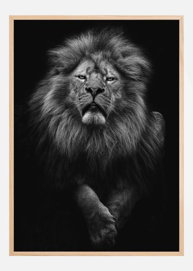 Black and White Lion reklaamplakat