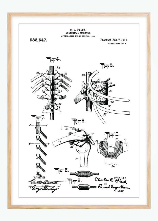 Patenteeritud joonistus - anatoomiline skelett III reklaamplakat