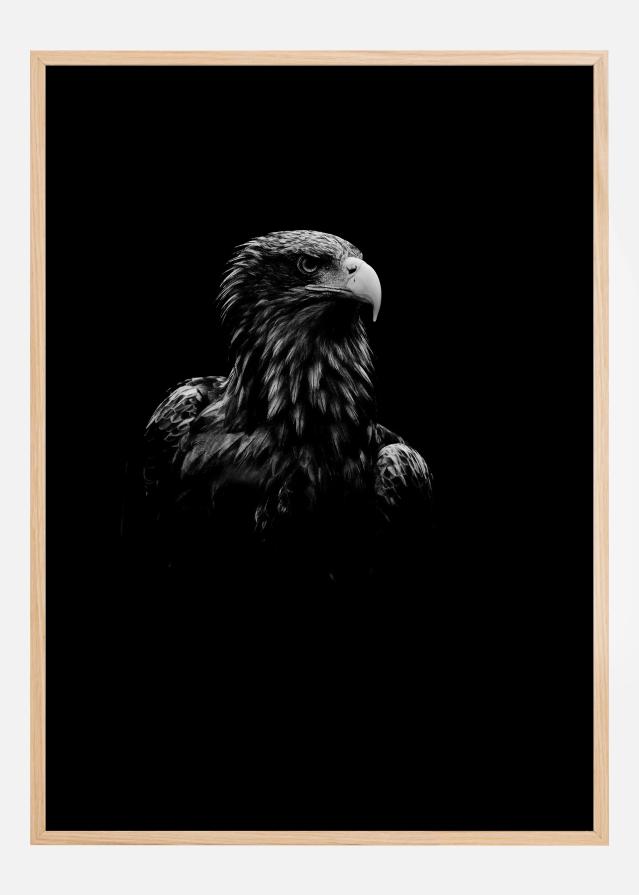 Black Eagle reklaamplakat