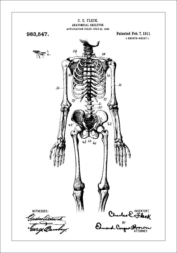 Patenteeritud joonistus - anatoomiline skelett sees reklaamplakat