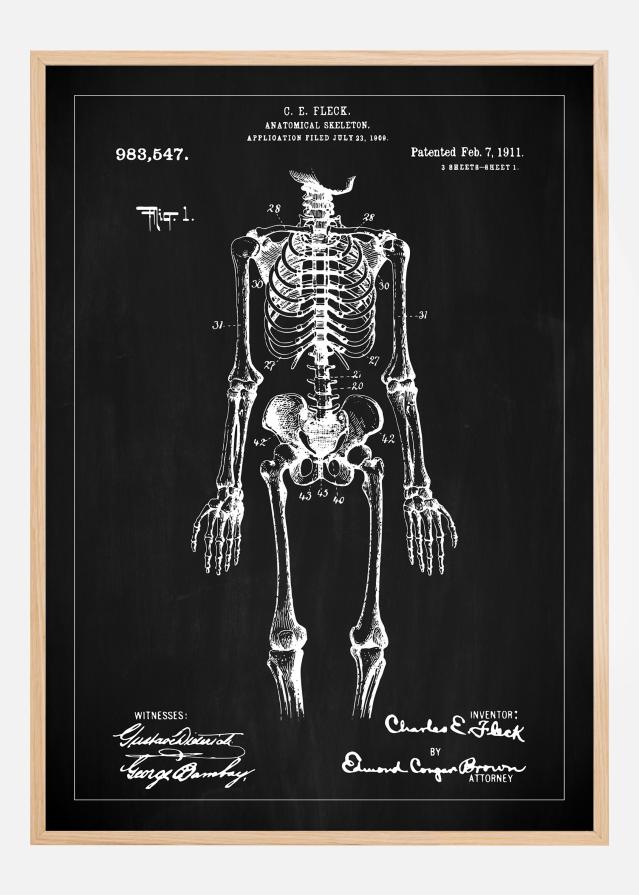 Patenteeritud joonistus - anatoomiline skelett sees - muster reklaamplakat