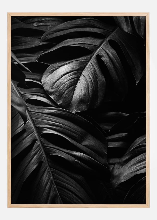 Black Leaves reklaamplakat