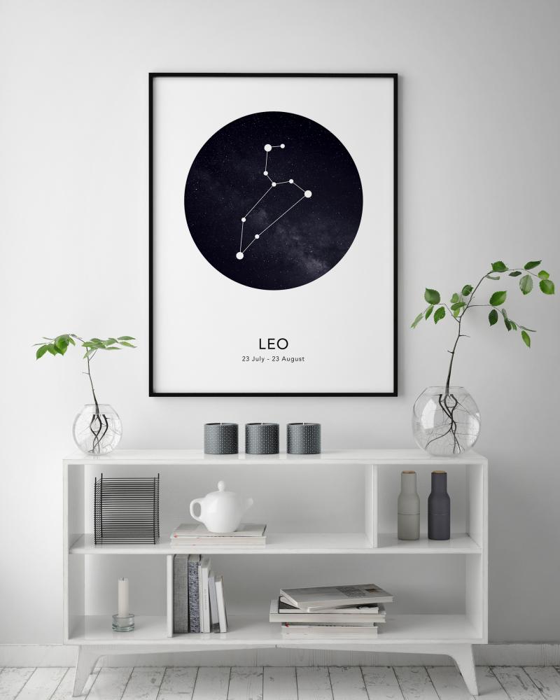 Leo reklaamplakat