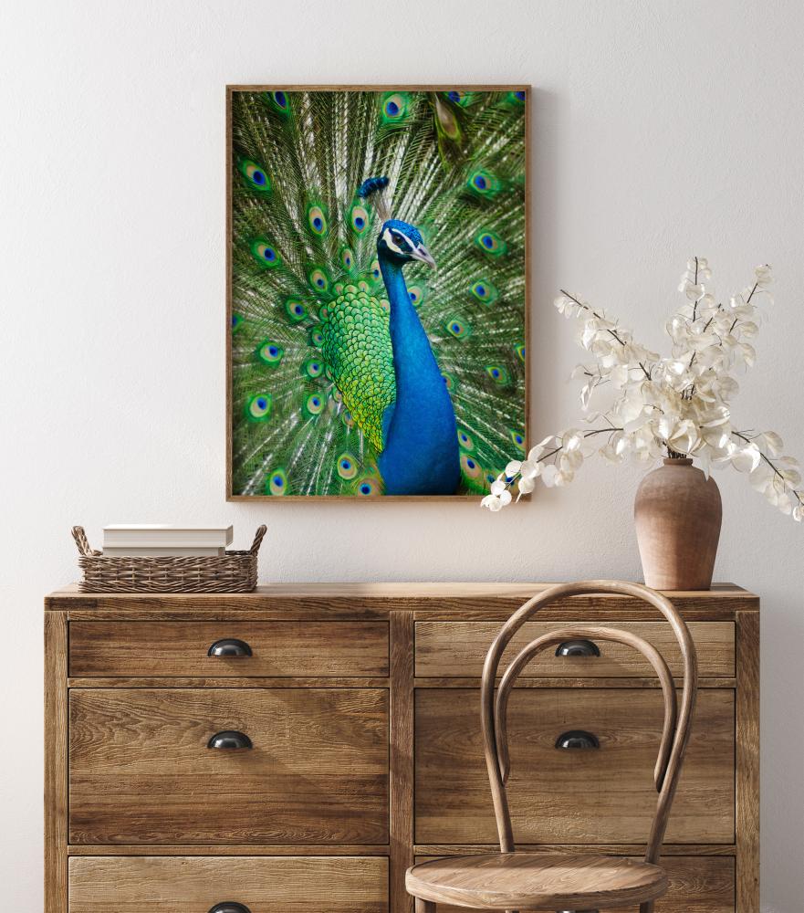 Peacock Plakat