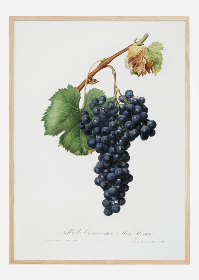 Grapes reklaamplakat