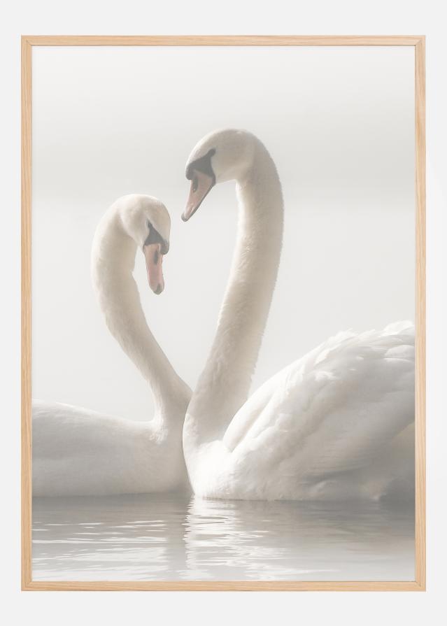 Swan Forever reklaamplakat