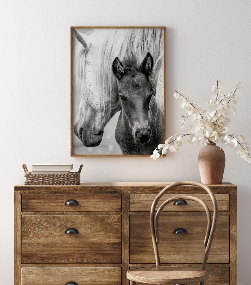 The Foal Plakat