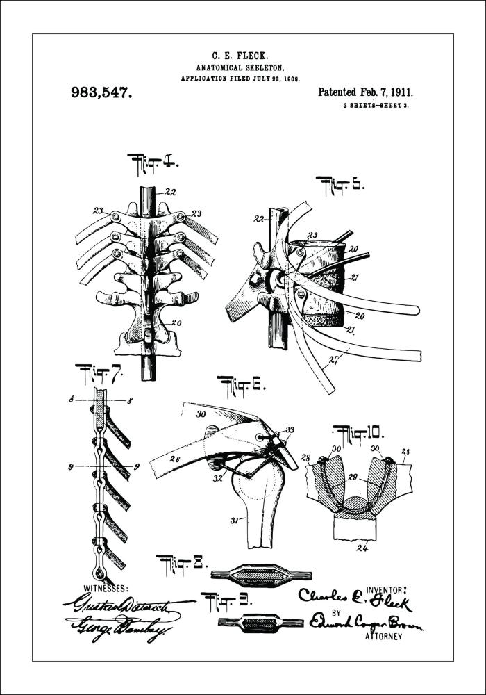 Patenteeritud joonistus - anatoomiline skelett III Plakat