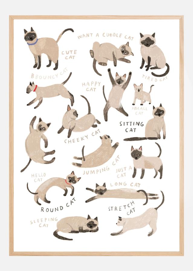 Siamese Cat Print Poster